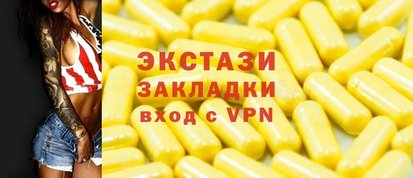 шишки Слюдянка
