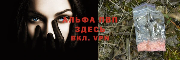 гидра Нея