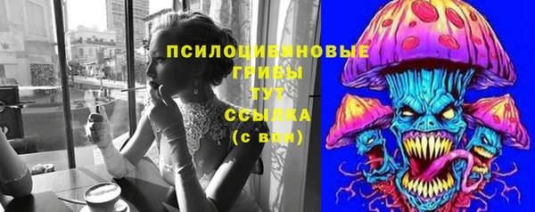 гидра Нея