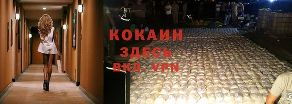 марки lsd Новозыбков