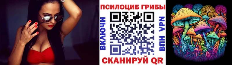 где можно купить наркотик  Пионерский  Галлюциногенные грибы Cubensis 