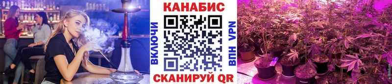 мега как войти  Пионерский  Конопля семена 